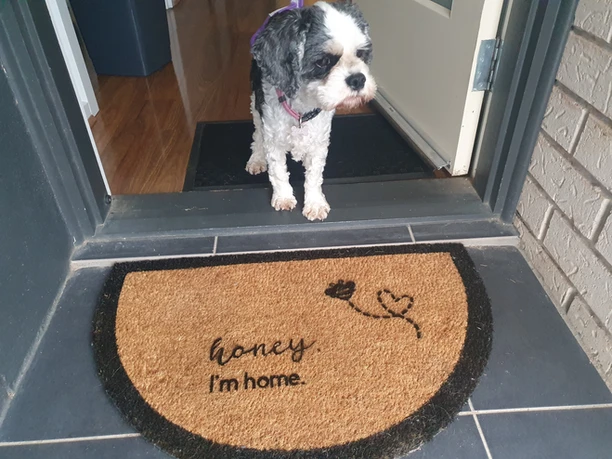 Black-and-white dog in a doorway behind a semicircular doormat reading 'Honey, I'm home'